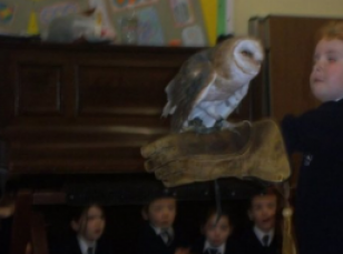 Bird Show comes to School 